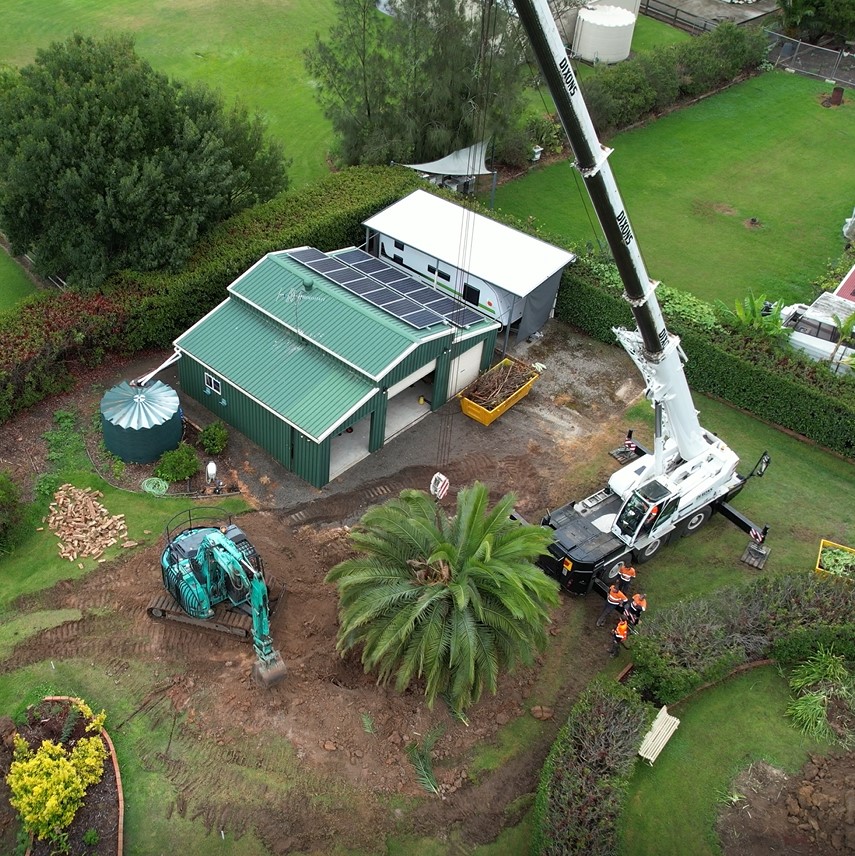 Tree Relocation, Tree Transplanting Sydney Wide