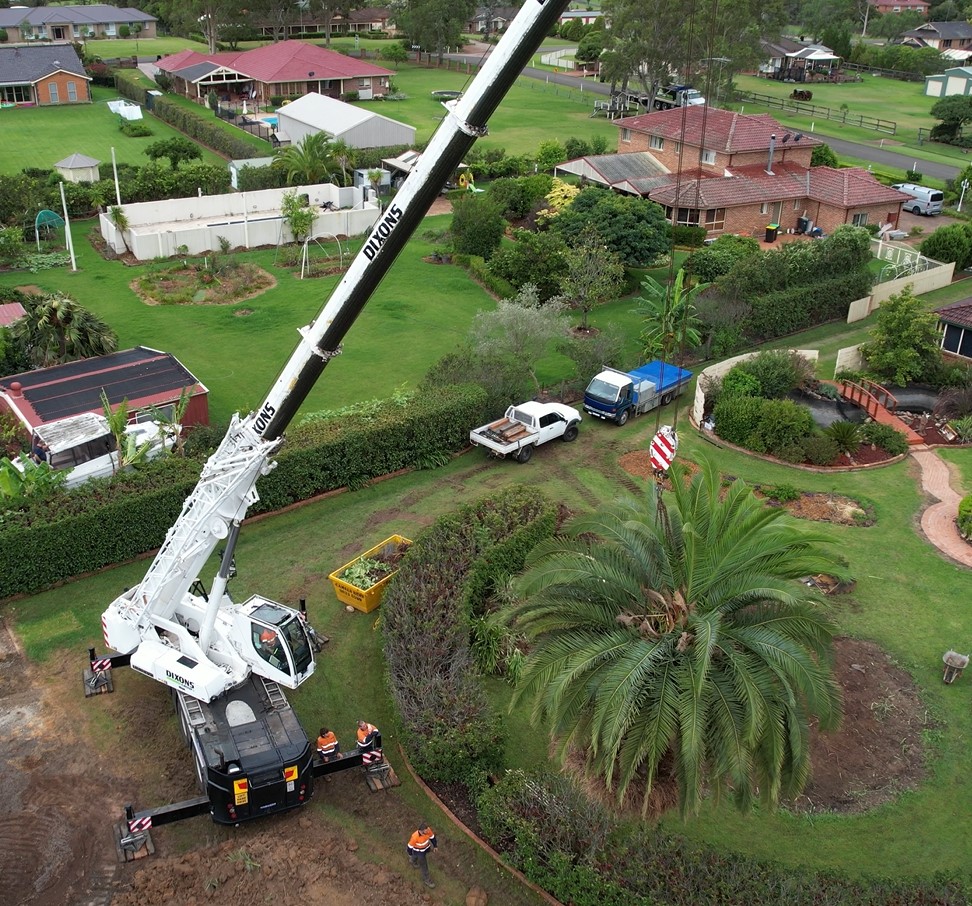 Tree Services in Sydney - SYDNEY WIDE TREE CUTTING