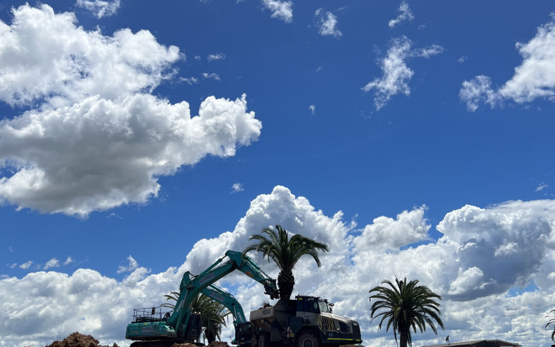 Western Sydney Airport Palm Tree Relocation