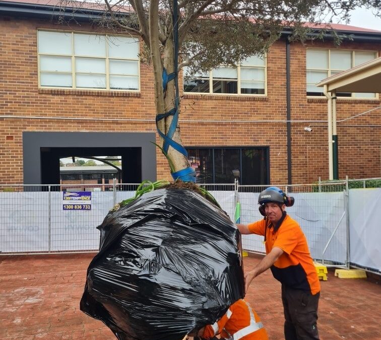 Holy Spirit College, Lakemba