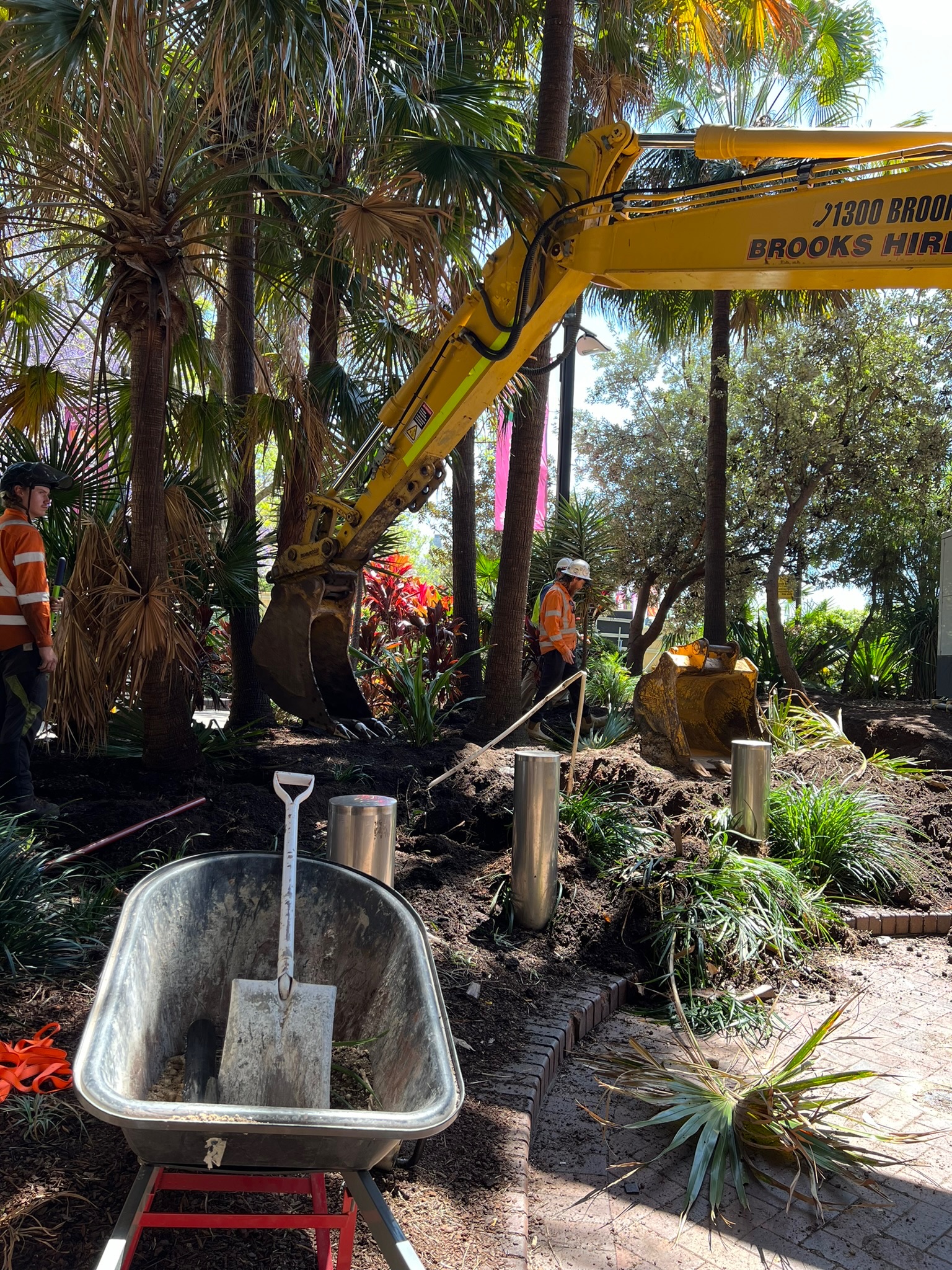Tree relocation services at Circular Quay, featuring a yellow excavator, workers in safety gear, and a wheelbarrow amid lush greenery.