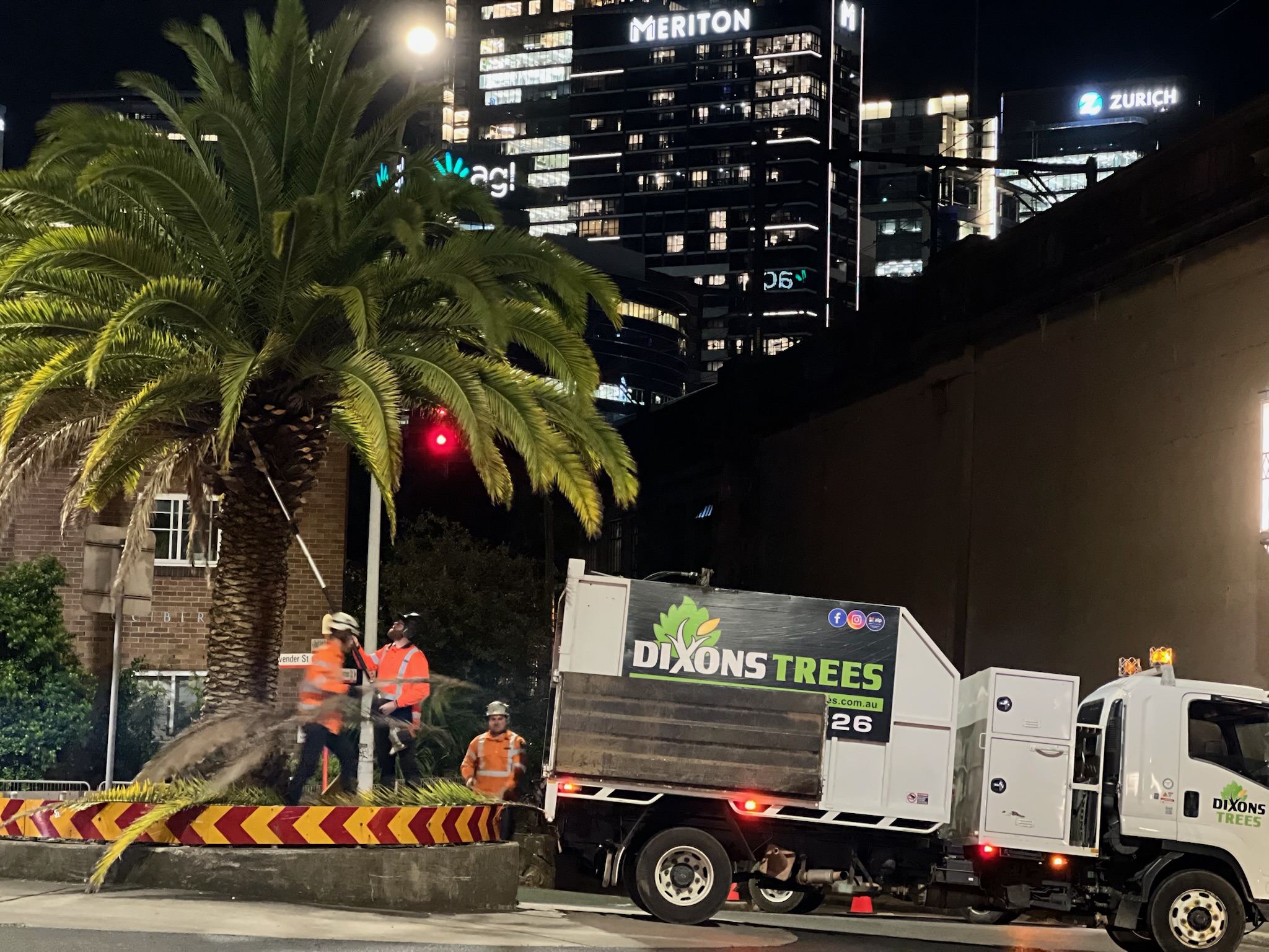 Tree relocation service in North Sydney featuring workers in safety gear and a truck from Dixons Trees, with a prominent palm tree being transplanted at night against a backdrop of city lights.
