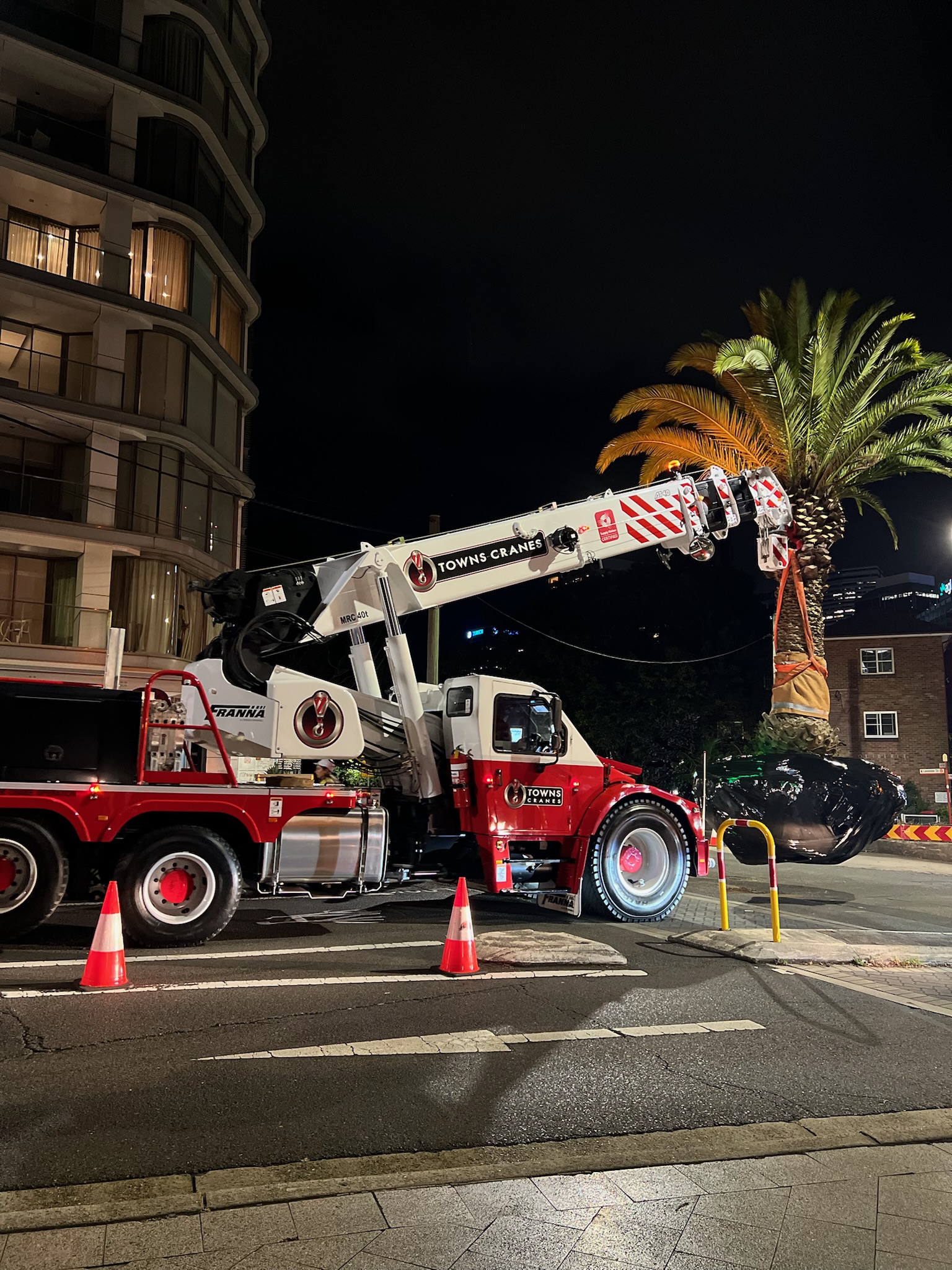 Nighttime image of a crane truck performing tree relocation in North Sydney, showcasing professional tree transplanting services.