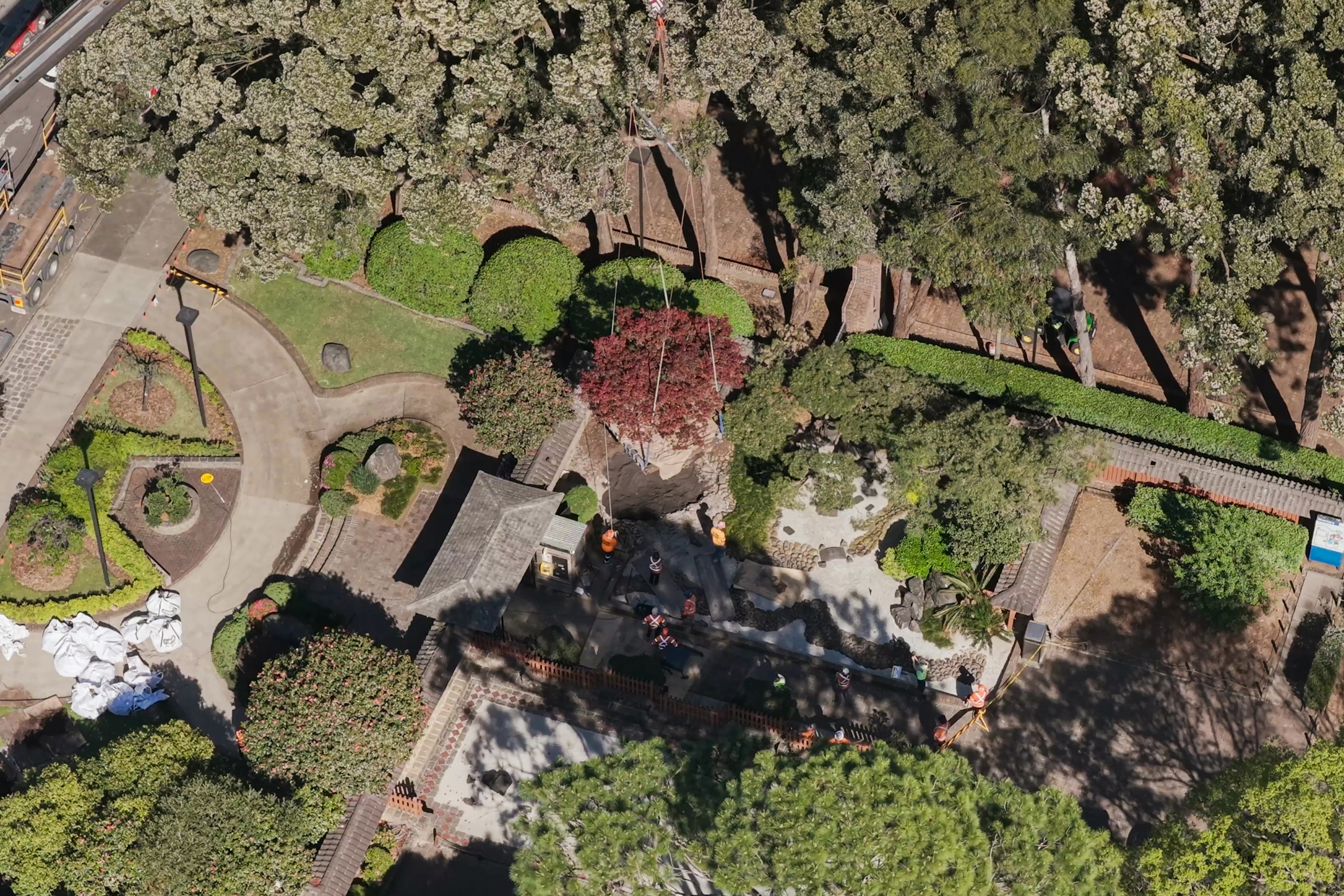 Aerial view of Auburn Botanic Gardens, showcasing tree relocation services in action.