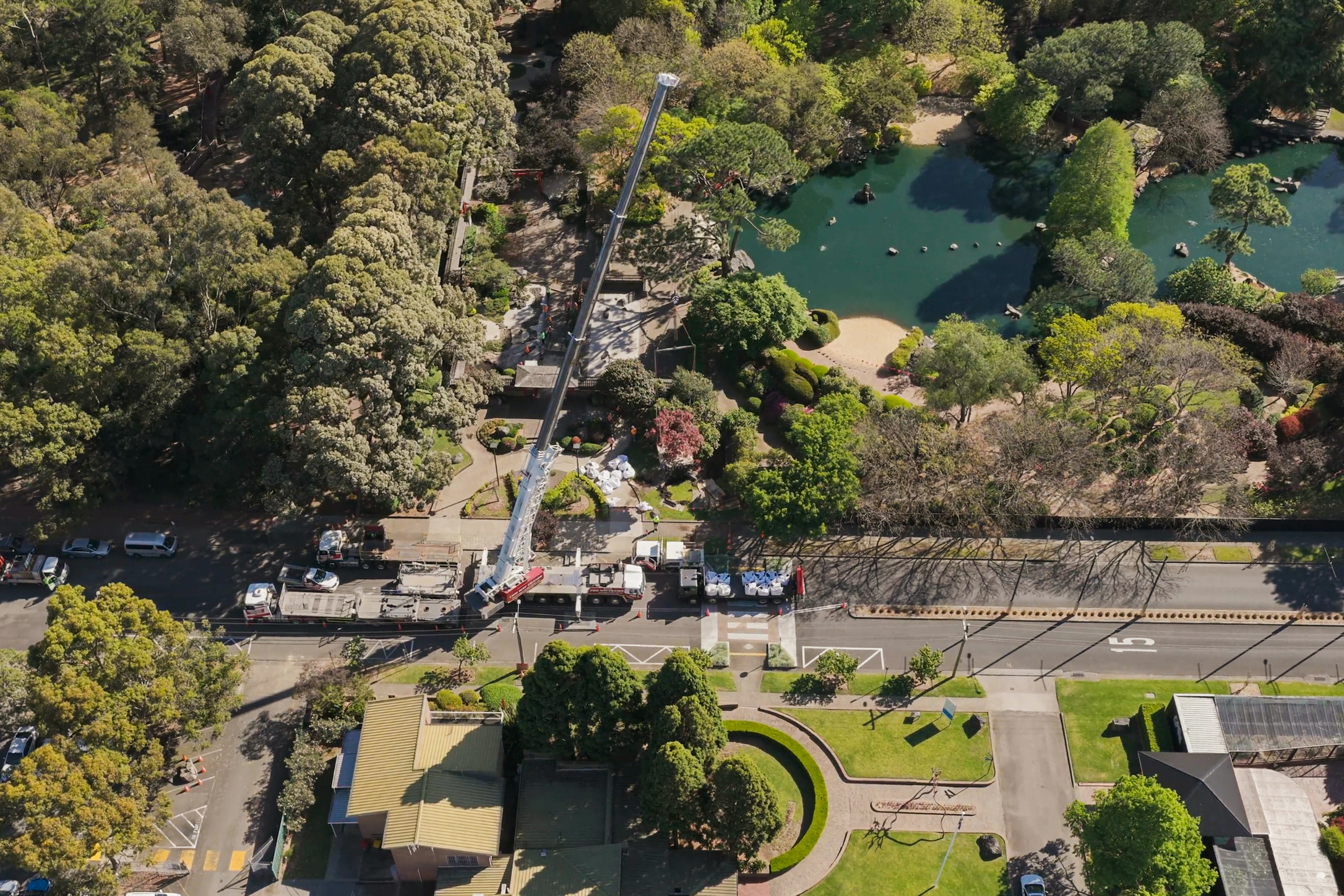 Aerial view of Auburn Botanic Gardens, showcasing lush greenery, a pond, and tree relocation services in action along the street.